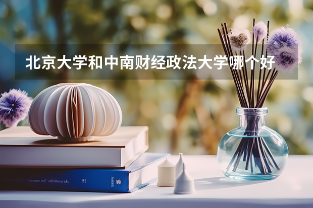 北京大学和中南财经政法大学哪个好