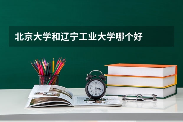北京大学和辽宁工业大学哪个好