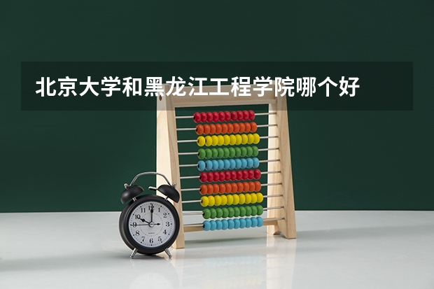 北京大学和黑龙江工程学院哪个好