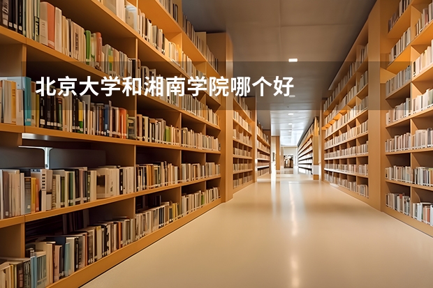 北京大学和湘南学院哪个好