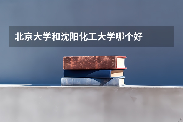 北京大学和沈阳化工大学哪个好