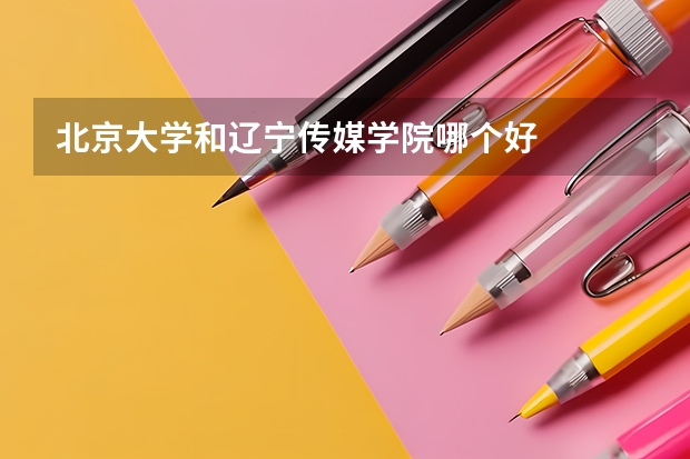 北京大学和辽宁传媒学院哪个好