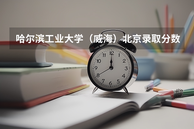 哈尔滨工业大学（威海）北京录取分数线是多少 2024招生人数预测