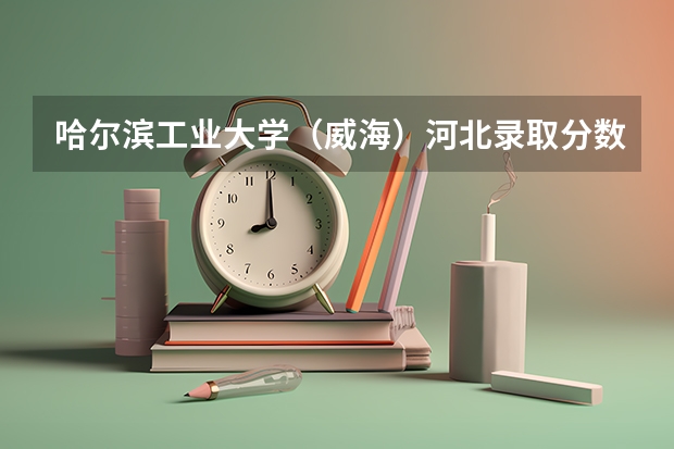 哈尔滨工业大学（威海）河北录取分数线是多少 2024招生人数预测