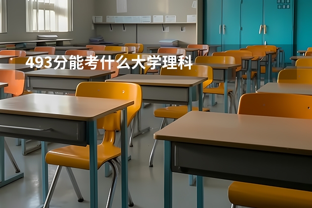 493分能考什么大学理科