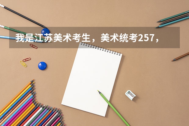 我是江苏美术考生，美术统考257，文化分264，省内能上哪些学校？
