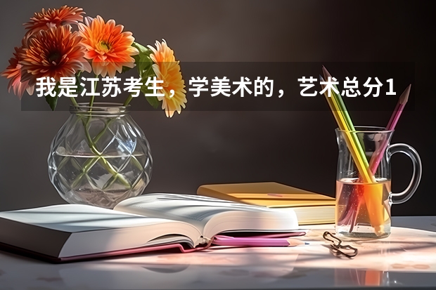 我是江苏考生，学美术的，艺术总分195，文化总分209，不知道能上一个什么样的学校。欢迎指教，不胜感激。