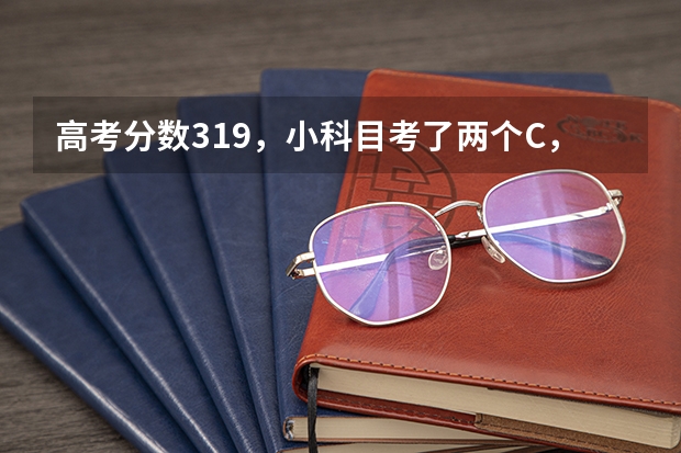 高考分数319，小科目考了两个C，能报名上什么学校好呢？一一