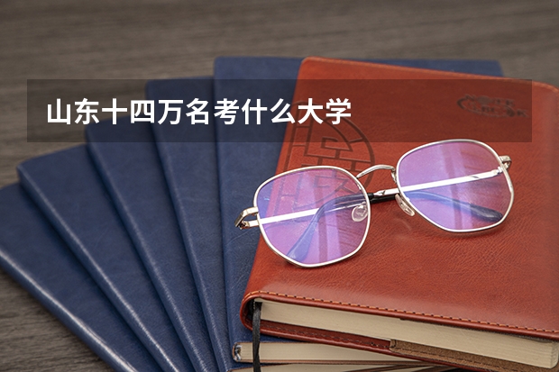 山东十四万名考什么大学