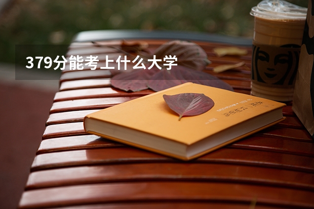 379分能考上什么大学