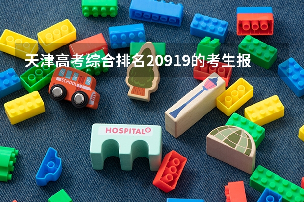天津高考综合排名20919的考生报什么大学