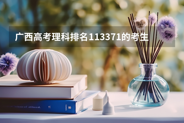 广西高考理科排名113371的考生报什么大学