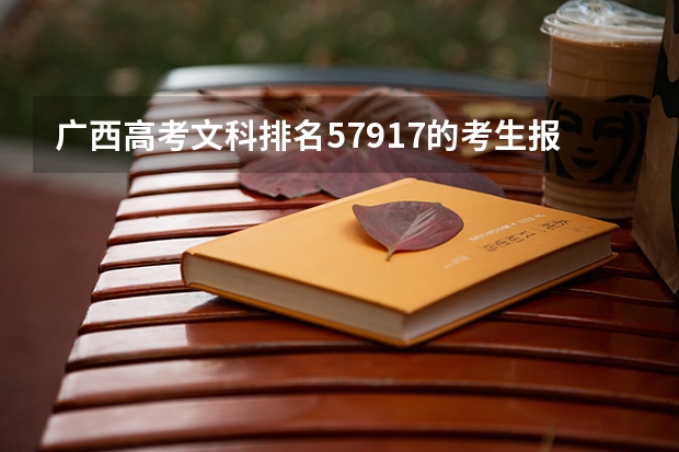广西高考文科排名57917的考生报什么大学