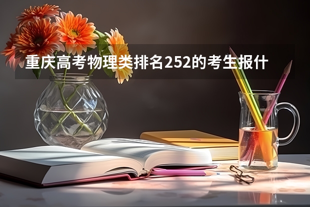 重庆高考物理类排名252的考生报什么大学