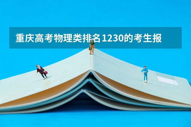 重庆高考物理类排名1230的考生报什么大学