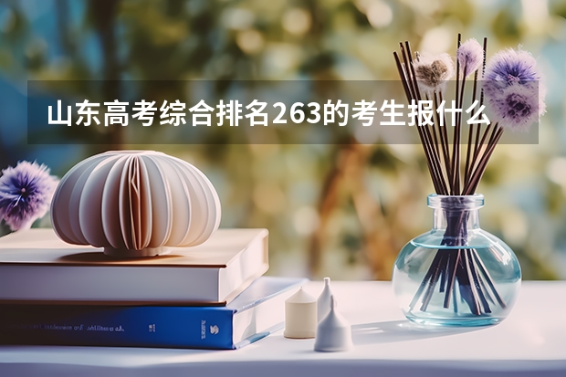 山东高考综合排名263的考生报什么大学
