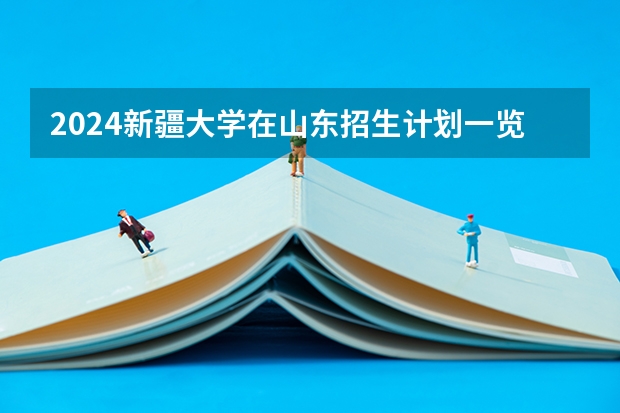2024新疆大学在山东招生计划一览表