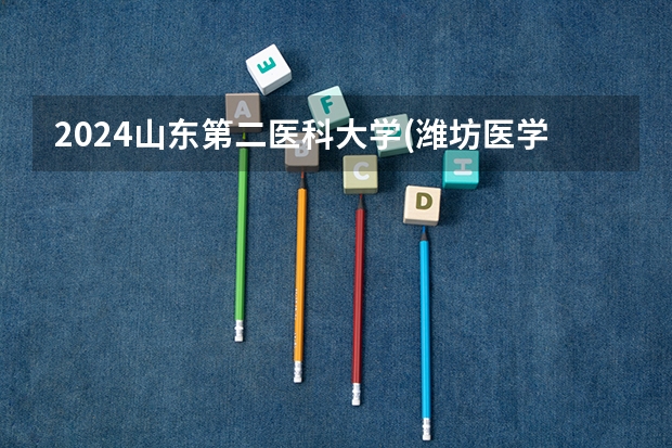 2024山东第二医科大学(潍坊医学院)在山东招生计划一览表