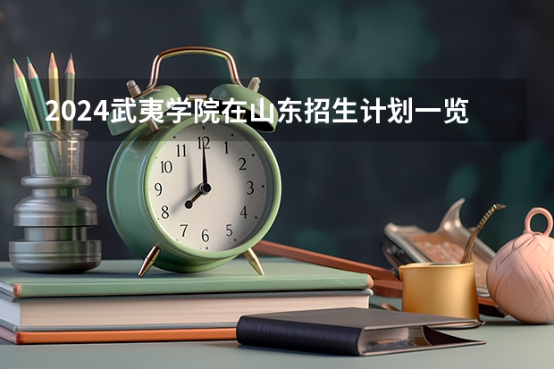 2024武夷学院在山东招生计划一览表