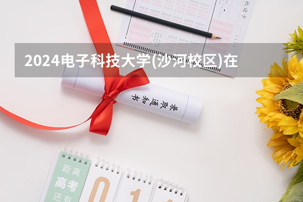 2024电子科技大学(沙河校区)在山东招生计划一览表