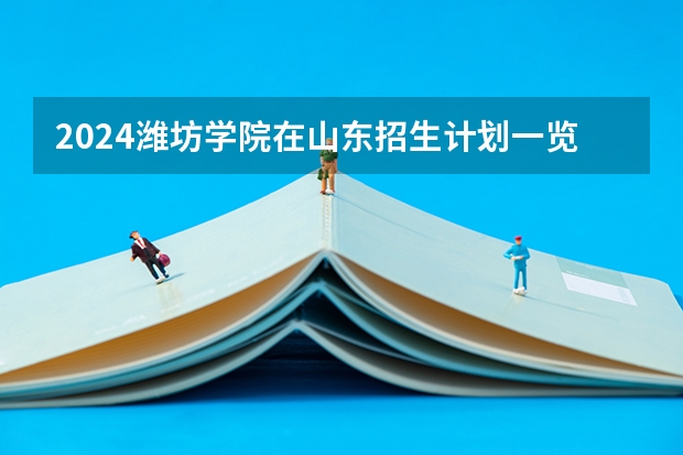 2024潍坊学院在山东招生计划一览表