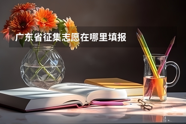 广东省征集志愿在哪里填报