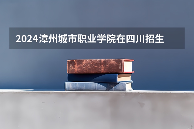2024漳州城市职业学院在四川招生计划一览表