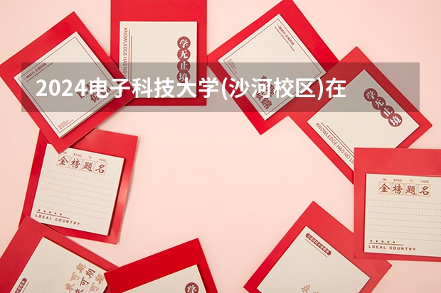 2024电子科技大学(沙河校区)在吉林招生计划一览表