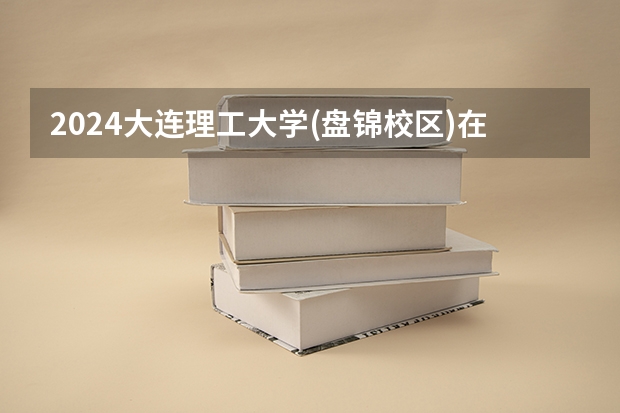 2024大连理工大学(盘锦校区)在四川招生计划一览表