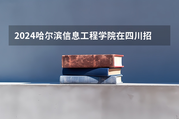2024哈尔滨信息工程学院在四川招生计划一览表