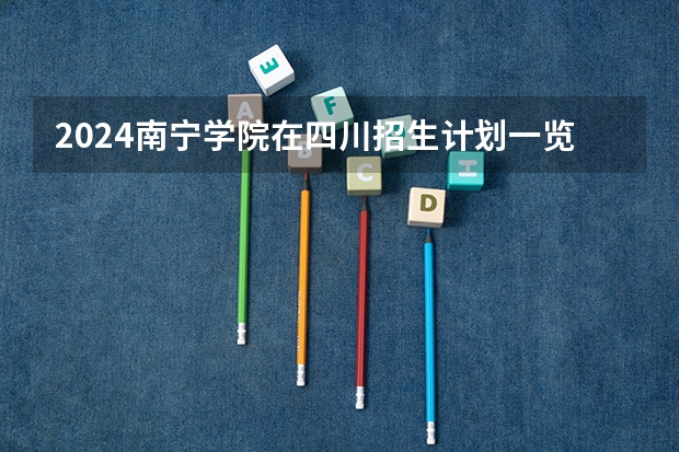 2024南宁学院在四川招生计划一览表