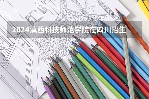 2024滇西科技师范学院在四川招生计划一览表