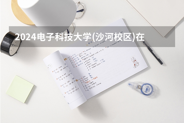 2024电子科技大学(沙河校区)在四川招生计划一览表
