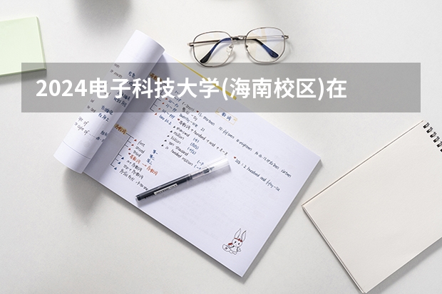 2024电子科技大学(海南校区)在四川招生计划一览表