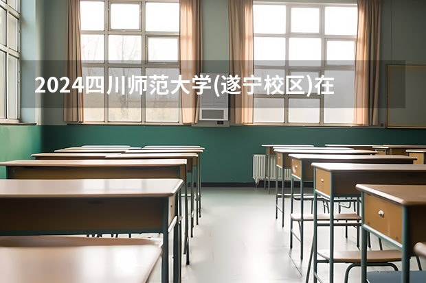 2024四川师范大学(遂宁校区)在四川招生计划一览表