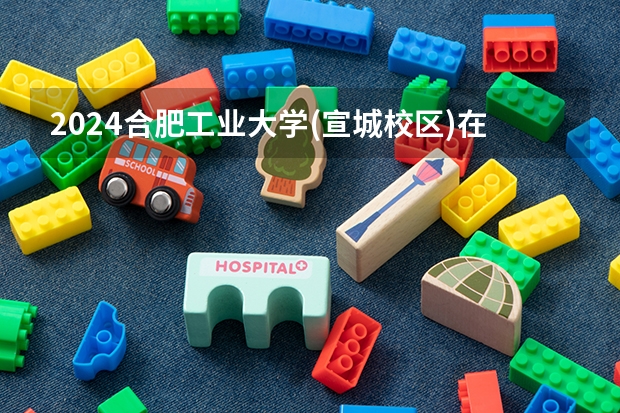 2024合肥工业大学(宣城校区)在江西招生计划一览表