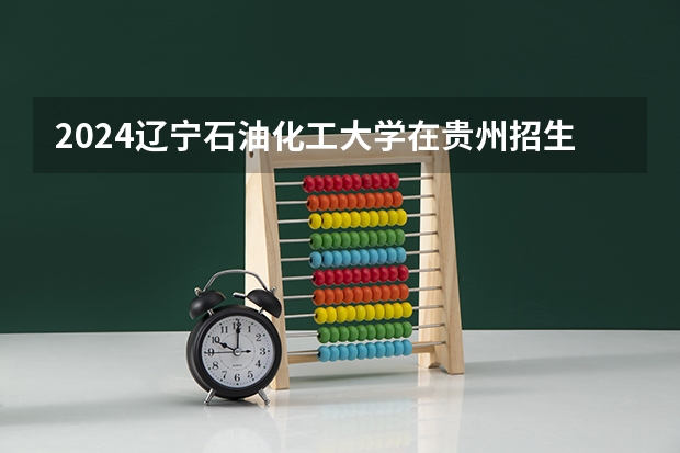 2024辽宁石油化工大学在贵州招生计划一览表