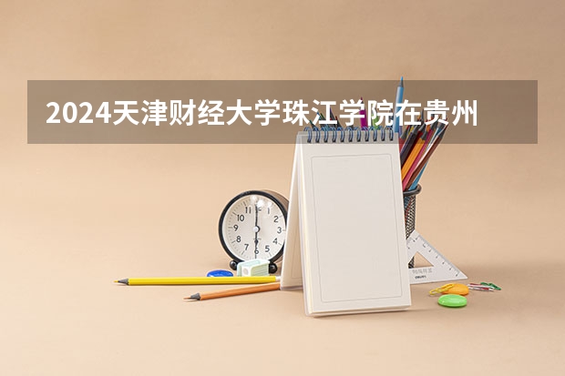 2024天津财经大学珠江学院在贵州招生计划一览表