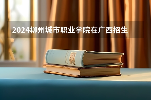 2024柳州城市职业学院在广西招生计划一览表