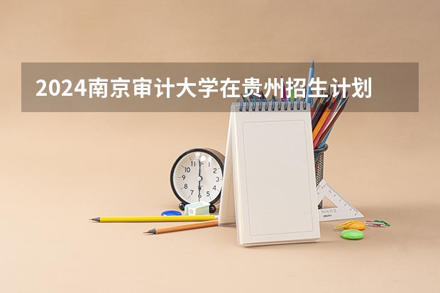 2024南京审计大学在贵州招生计划一览表
