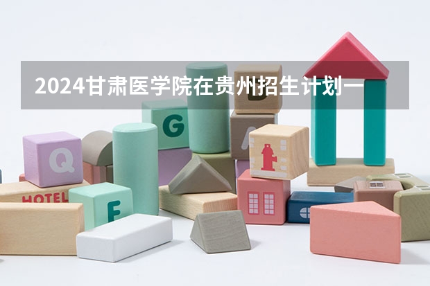 2024甘肃医学院在贵州招生计划一览表