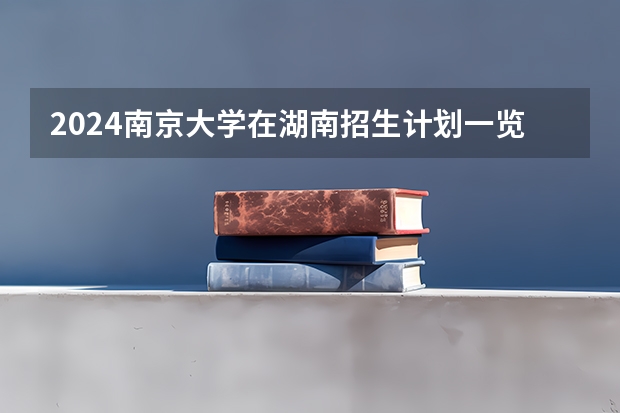 2024南京大学在湖南招生计划一览表