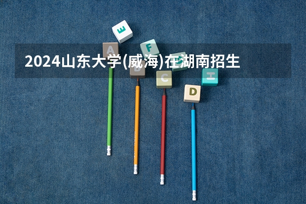 2024山东大学(威海)在湖南招生计划一览表