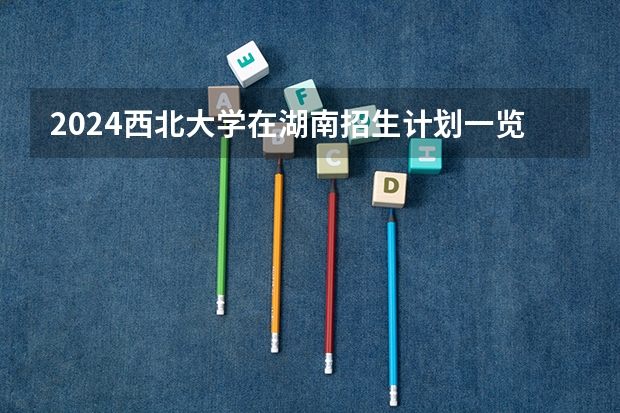 2024西北大学在湖南招生计划一览表