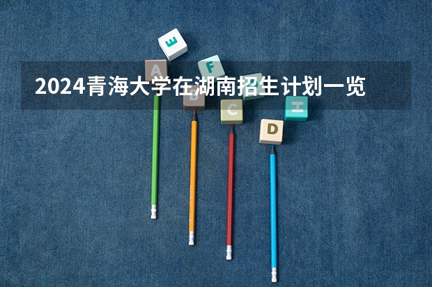 2024青海大学在湖南招生计划一览表