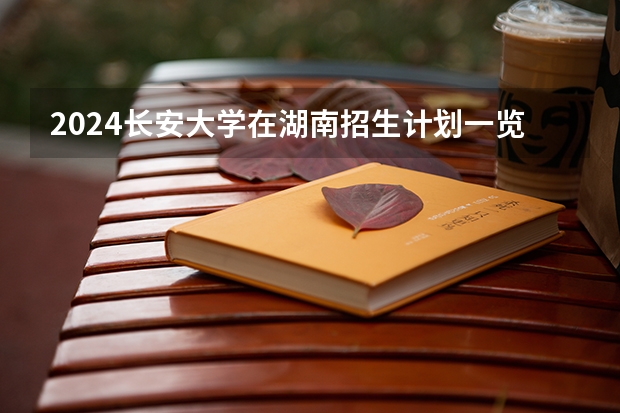 2024长安大学在湖南招生计划一览表