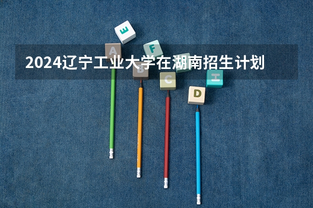 2024辽宁工业大学在湖南招生计划一览表