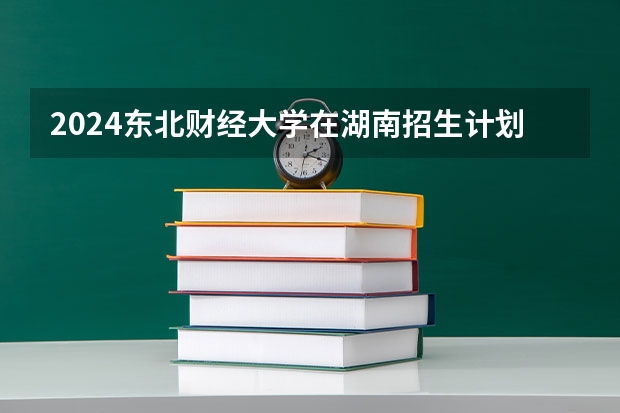 2024东北财经大学在湖南招生计划一览表