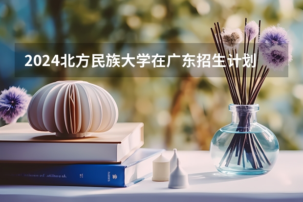 2024北方民族大学在广东招生计划一览表