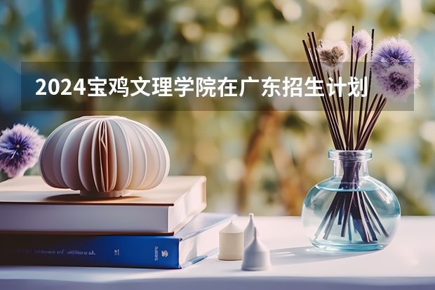2024宝鸡文理学院在广东招生计划一览表
